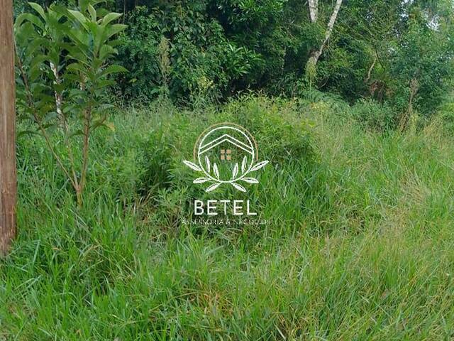 #126 - Área para Venda em Ibiúna - SP