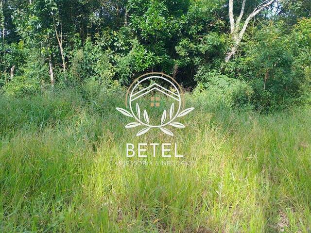 #126 - Área para Venda em Ibiúna - SP