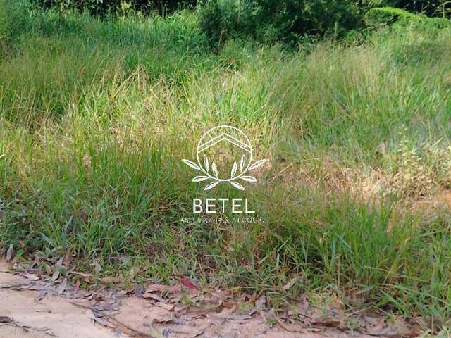 Área para Venda em Ibiúna - 4